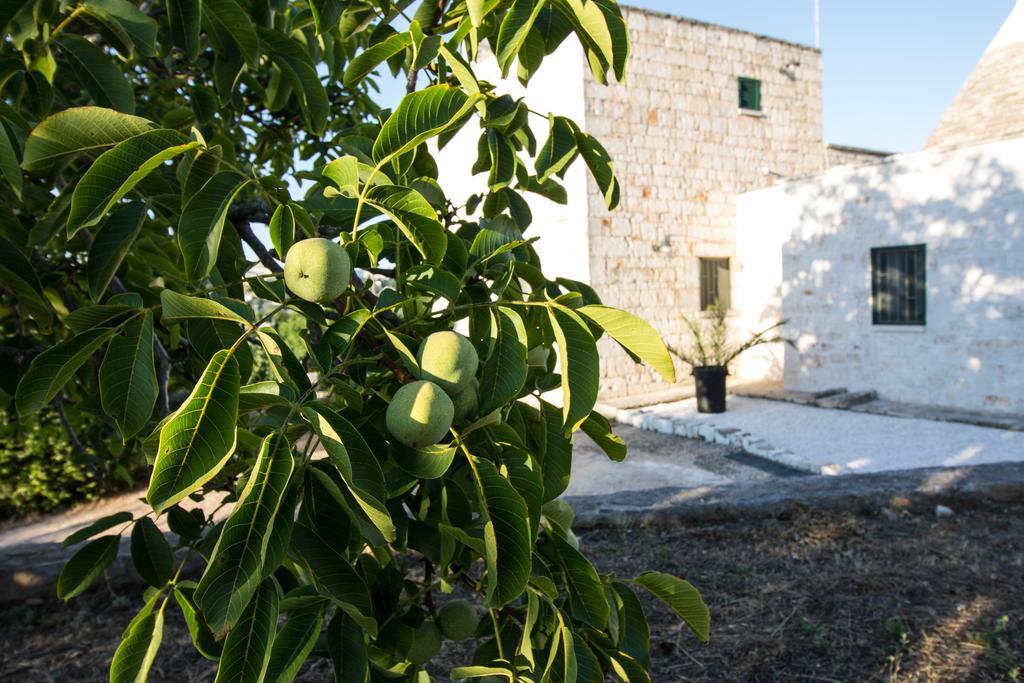 Maison Milleottocento Cisternino Luaran gambar