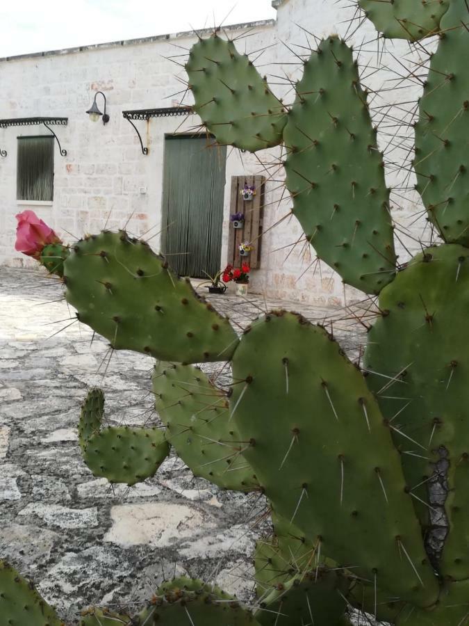 Maison Milleottocento Cisternino Luaran gambar