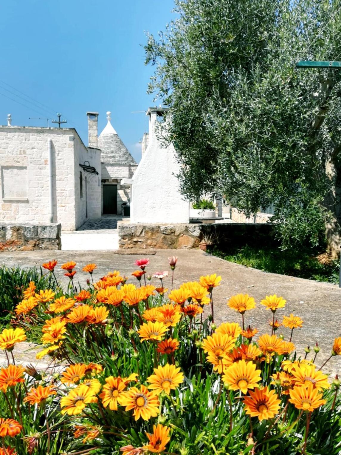 Maison Milleottocento Cisternino Luaran gambar